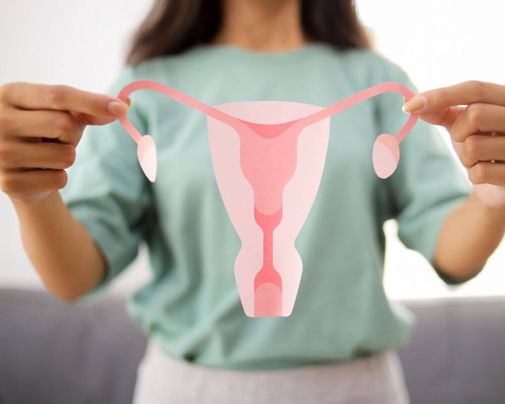 Hands holding paper uterus for PCOS care