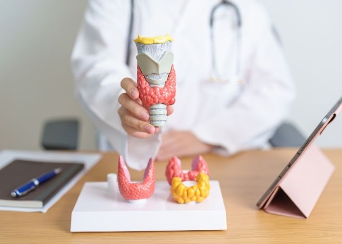 Hashimoto’s Thyroiditis Treatment AZ