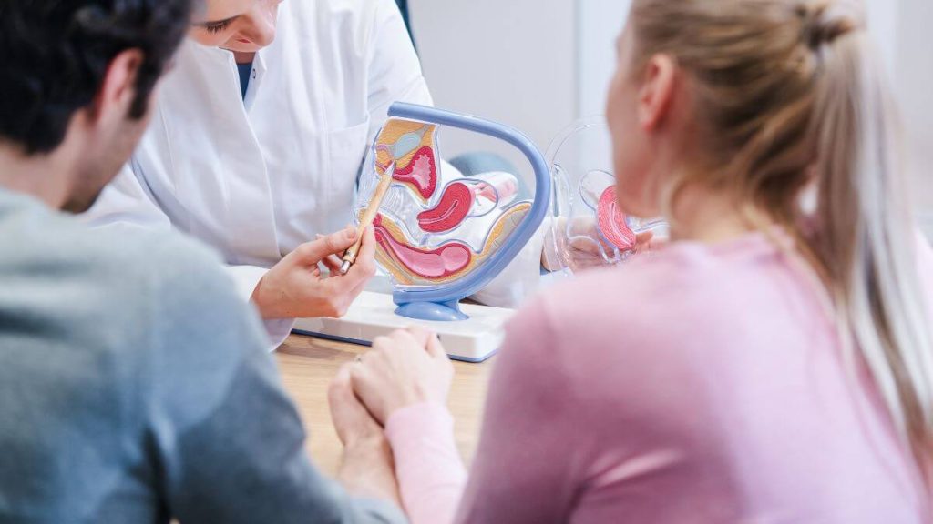 TRT and Fertility