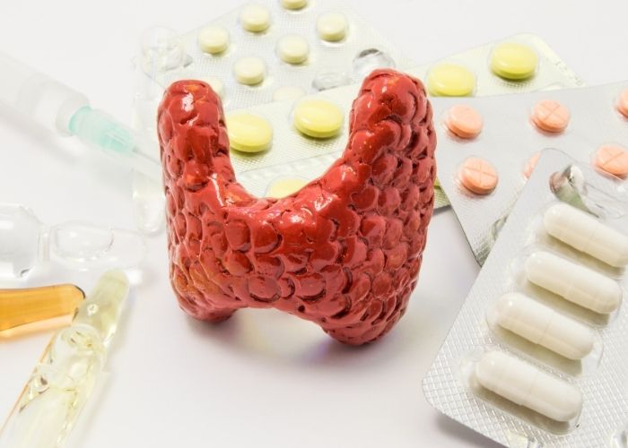 thyroid medication